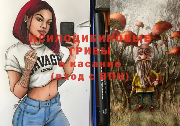 дурь Алзамай