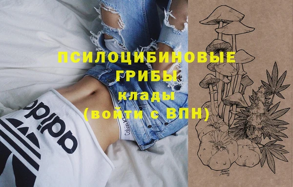 амф Алексеевка
